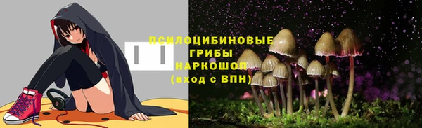 ECSTASY Абаза