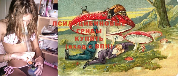 не бодяженный Алексин