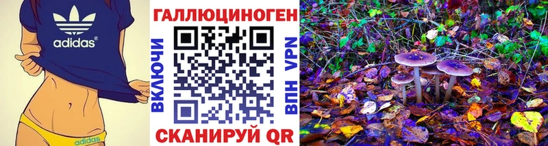 магазин  наркотиков  Бронницы  Галлюциногенные грибы Psilocybe 